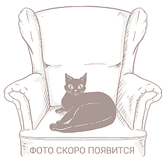 Фото - Угловой диван «Беллини» (2ML/R.90.4R/L)