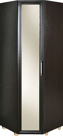 Шкаф «Ника» П024.61М