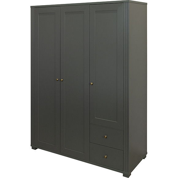 Шкаф для одежды 3Д «Джио» П7.060.1.16