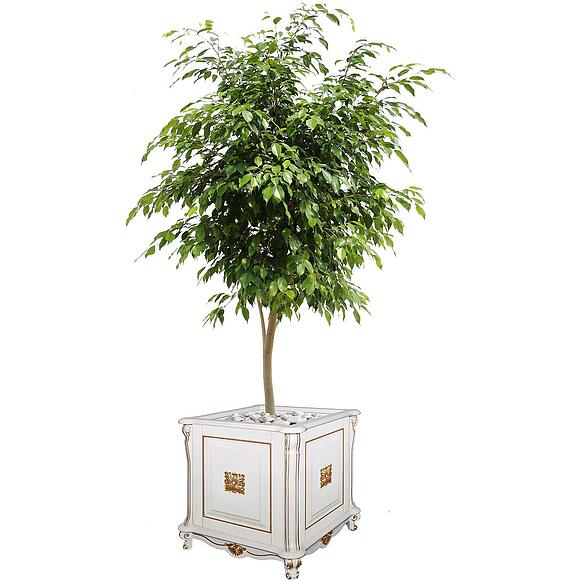 Подставка декоративная «Алези Люкс» П1.349.0.20 (П350.20л)